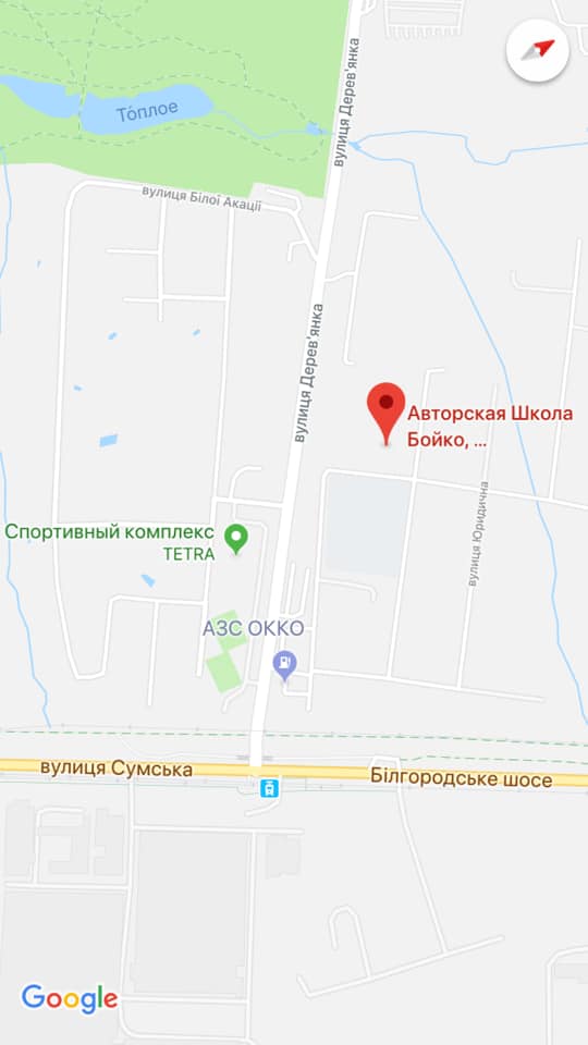 zal boyko4 n